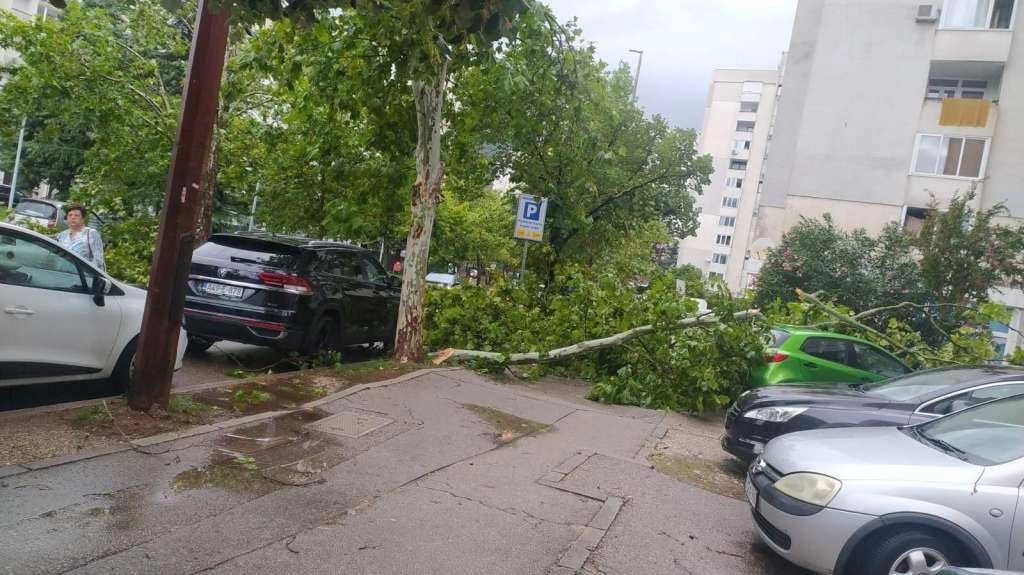 Mostar: Brojne intervencije vatrogasaca, stablo palo na tri automobila